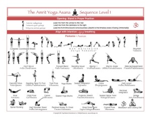 Level_I_Asana_Chart